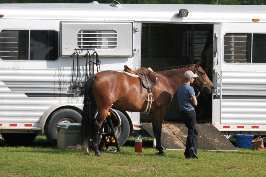 boy loading brown horse on trailer with ramp leading into side entrance