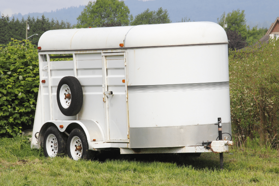 white horse trailer